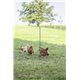 Siatka elektryczna dla drobiu PoultryNet Premium 106 cm 25 m AKO podwójny kolec (8)