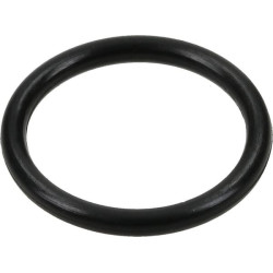 O-ring uszczelniający 21 × 3,5 mm EPDM do dozownika MixRite Tefen
