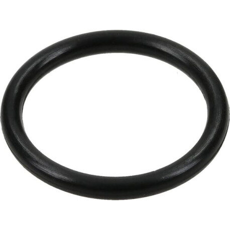 O-ring uszczelniający 21 × 3,5 mm EPDM do dozownika MixRite Tefen
