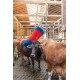Czochradło HAPPYCOW Maxi
