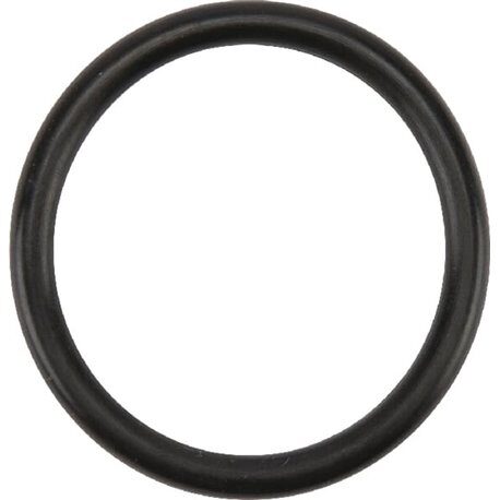 50117062 5011.7062 Birchmeier Uszczelka 31,34x3,53