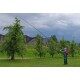 Lanca teleskopowa do opryskiwacza 1,5-7 m Birchmeier XL 8 S