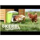 Automatyczne karmidło z klapką do SmartCoop Kerbl 70660