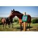 Pastuch Elektryzator solarny S250 AKO