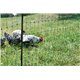 Siatka nieelektryczna dla drobiu, 25 m, 112 cm,, podw. szpic, zielony, Kerbl