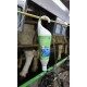 Balsam do wymion z olejkiem z mięty pieprzowej KerbaMint 35, 1000 ml, Kerbl 15310