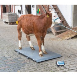 Waga inwentarzowa, platformowa, do 1000 kg, Kerbl 291311