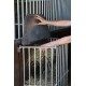 Paśnik ścienny na siano dla konia Slow Feed Plus, 81 cm x 41 cm x 114 cm, Kerbl 3225