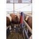 Czochradło dla bydła, HAPPYCOW Bully, Kerbl 293130