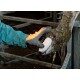 Zestaw do leczenia racic 4 szt. Kerbl Technobase 8000