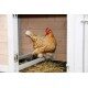Domek dla kur z wybiegiem 181 x 65 x 118 cm KERBL