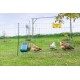 Siatka elektryczna dla drobiu 25 m, 106 cm, podwójny szpic, Kerbl Premium