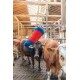 Czochradło dla krów HAPPYCOW Maxi 120 cm głębokości