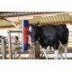 Czochradło dla bydła 90 cm HAPPYCOW Bully Kerbl