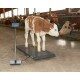 Waga inwentarzowa platformowa do 500 kg Kerbl PS 1000