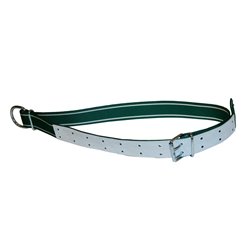 Obroża dla byka Classic, 150 x 5 cm, biały/zielony, Kerbl