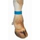 Opaska identyfikacyjna tekstylna na rzep 36 cm, 10 szt., niebieska, Kerbl
