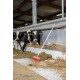 Szczotka z uchwytem na kij Classic 60 cm czerwona Kerbl