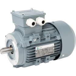 Silnik elektryczny paszociągu 1,1 kW 230/400 V B14 IP55