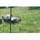 Siatka elektryczna dla drobiu 25 m, 106 cm, podwójny szpic, Kerbl