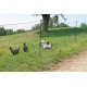Siatka elektryczna dla drobiu 25 m, 106 cm, podwójny szpic, Kerbl