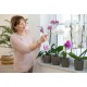 Opryskiwacz ręczny do orchidei 0,5 L Birchmeier Melua 0.5