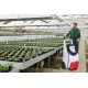 Opryskiwacz akumulatorowy dwukołowy 50 L Birchmeier A 50 AC1