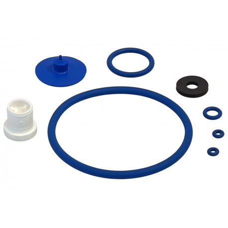 Zestaw uszczelek Viton Birchmeier Food-Matic 1.25 P