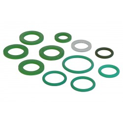 Zestaw uszczelek do pianownicy Viton Birchmeier Foam Cleaner 20