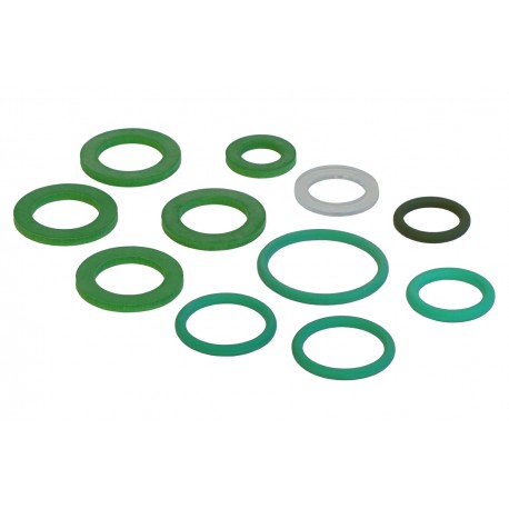 Zestaw uszczelek do pianownicy Viton Birchmeier Foam Cleaner 20