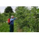 Akumulatorowy opryskiwacz plecakowy 15 L Birchmeier REC 15 AC5 CAS