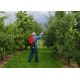 Akumulatorowy opryskiwacz plecakowy 15 L Birchmeier REC 15 AC5 CAS