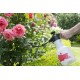 Opryskiwacz ciśnieniowy 360 stopni 1.25 l Birchmeier Rose Star