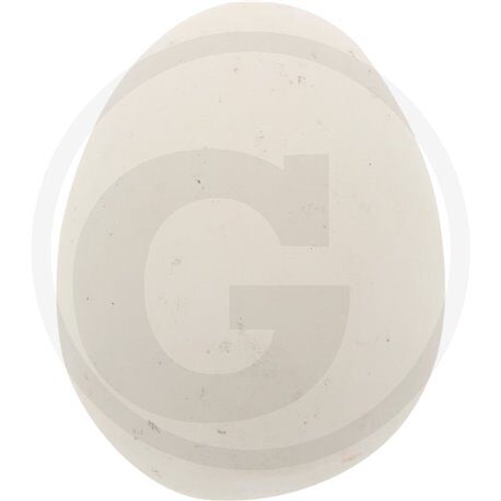 Jajo do gniazda